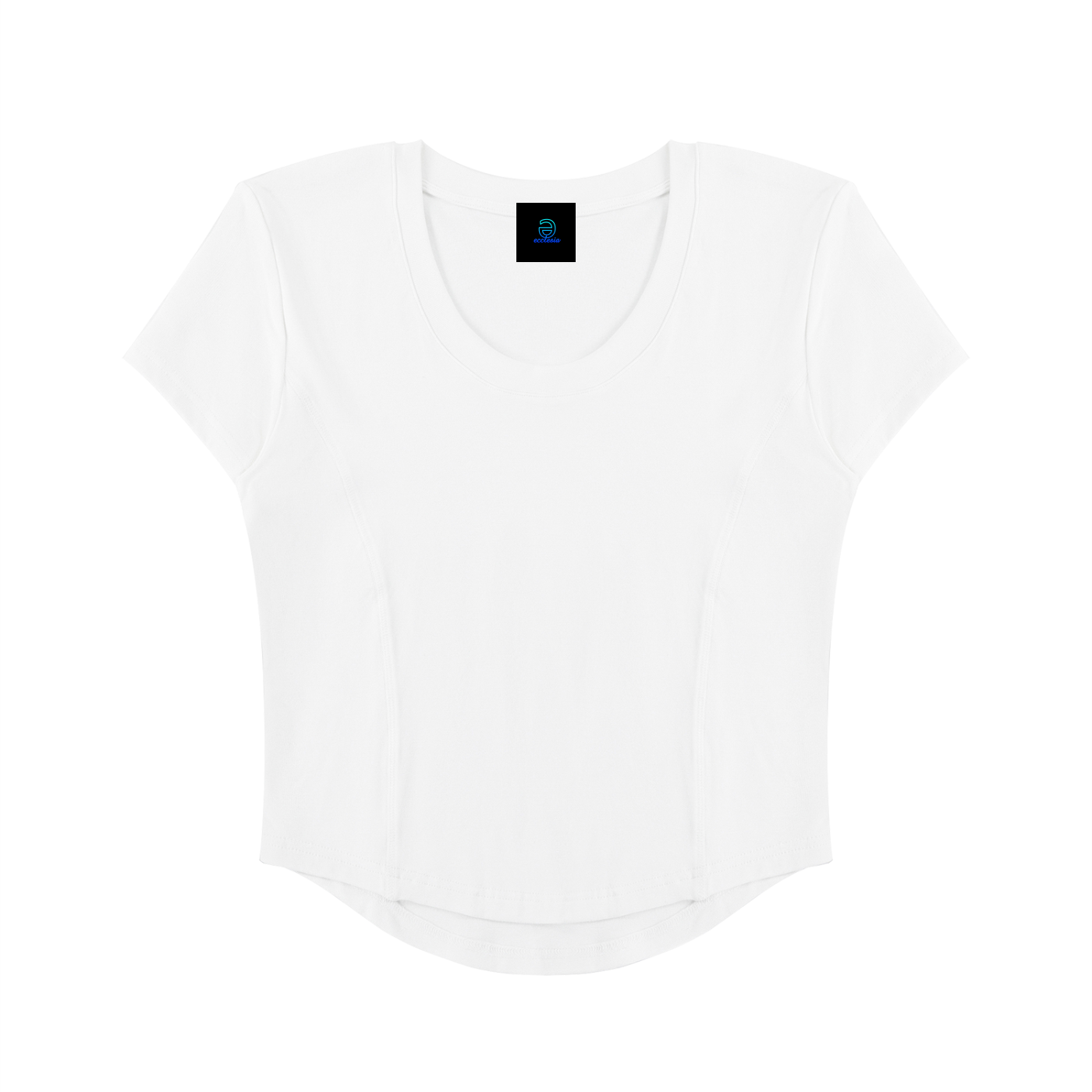 Women's  Paneled Crop T-Shirt